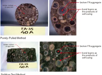 Figure 6.  Broken Surface of Specimens of FA Concrete W/C 35% with 40C Dry Curing 
