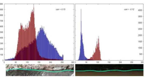 Figure 5. Histogram analyses of spatio-temporal textures in 