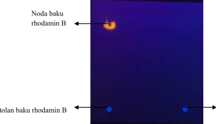 Gambar 2. Kromatogram Rhodamin B dan Sampel 