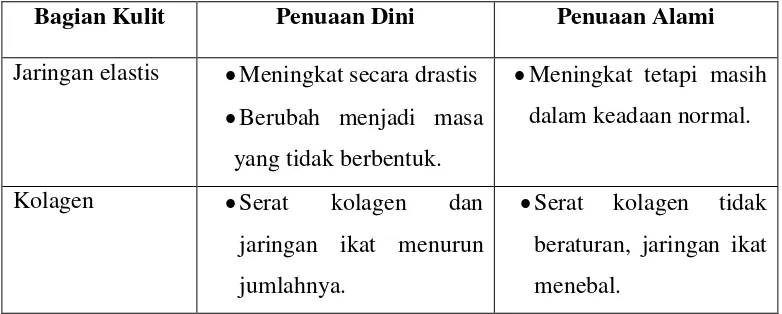 Tabel 2.2 Perbedaan anatomi pada dermis 