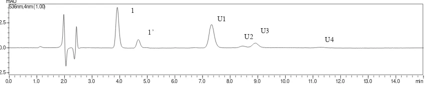 Figure 1. HPLC chromatogram of betacyanins from fruit pastille incorporated with spray dried red pitaya (H