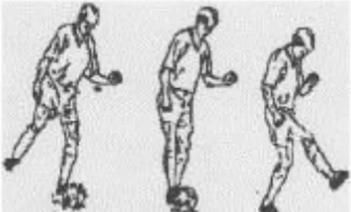 Gambar 2: Mendang Bola Dengan Kaki Sebelah Dalam, Dinata (2007:10).  Sedangkan teknik menendang dengan punggung kaki adalah sebagai  berikut: 