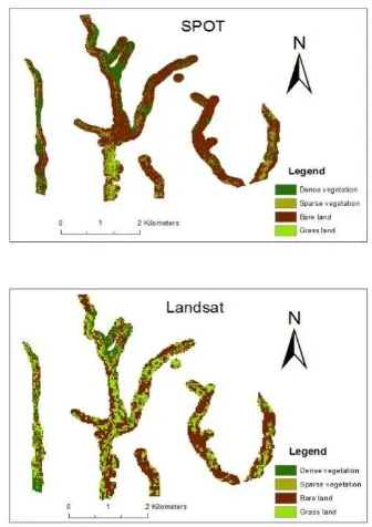 Figure 2: SPOT and Landsat derived classes 