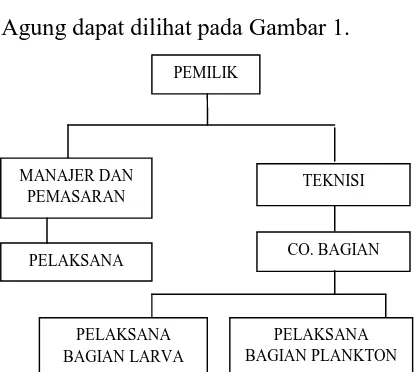 Gambar 1. Struktur Organisasi PT. AMA