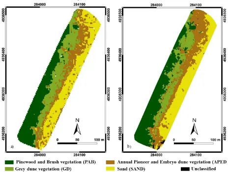 Figure 3. Object-based classification of Casal Borsetti dune vegetation: Worldview-2 data (a) and UAV Orthophoto (b)