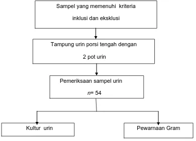 Gambar 4.1 Profil penelitian 