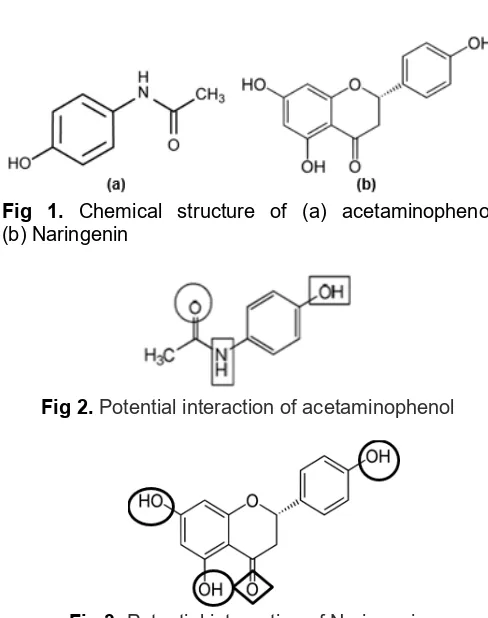 Fig 2. Potential interaction of acetaminophenol