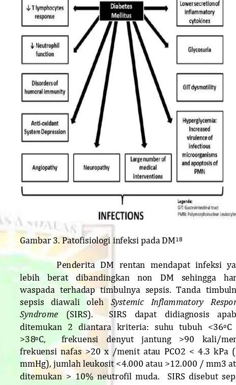 Gambar 3. Patofisiologi infeksi pada DM18 