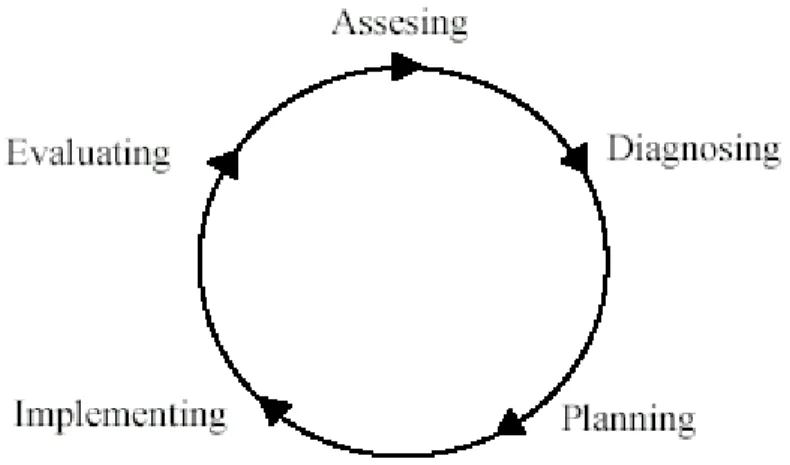 Gambar 2.2  The Nursing Process (Kozier dkk, 1991)  