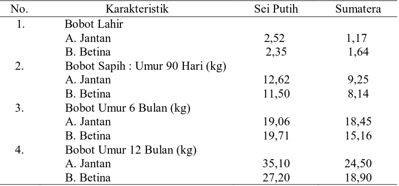 Tabel 1. Penampilan bobot lahir, sapih (6 bulan dan 12 bulan) domba sei putih dan lokal sumatera (kg)