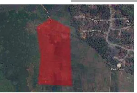 Gambar 6.1 Citra tapak dan Kondisi Eksisting Tapak 