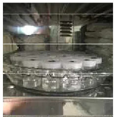 Gambar 20. Rendaman Sampel dalam Inkubator