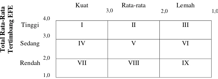 Tabel 1.  Matriks IE 