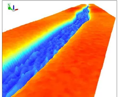 Fig. 2. 3D view of the rift (depth exaggeration 10 times). 