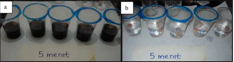 Gambar 11. Spesimen yang direndam dalam minuman berkarbonasi selama 5 menit (a), spesimen yang direndam dalam aquadest selama 5 menit (b) 
