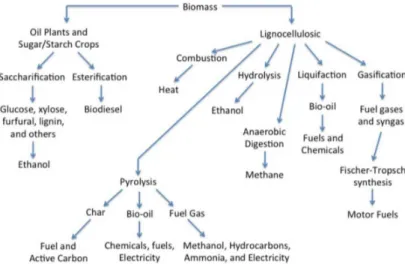 Gambar 1. Skema Teknologi Konversi Biomassa  