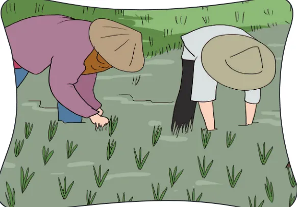 Gambar Petani menanam padi