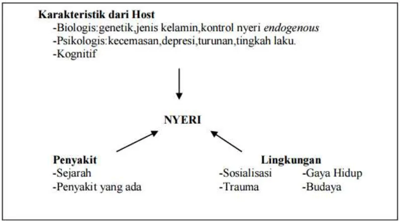 Gambar 4. Faktor-faktor yang berinteraksi dan mempengaruhi pengalaman  