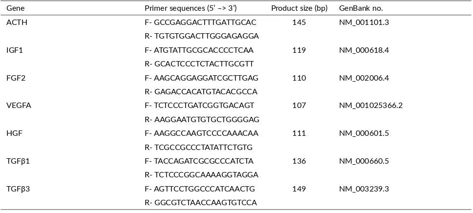 TABLE 1 Primer sequences used for gene expression analysis in human.