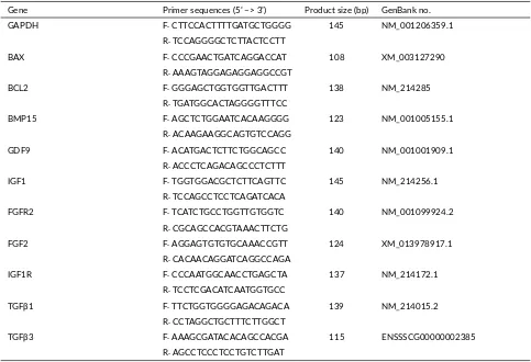 TABLE 2 Primer sequences used for gene expression analysis in pigs.