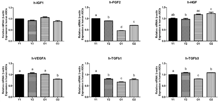 FIGURE 1 The expression of growth factor signaling genes from human adipose-derived stem cells (ASCs)