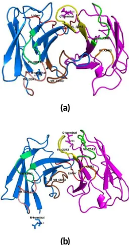 FIGURE 1 Three dimensional structure predic�on of scFv-AP clone(CDR) of VRB2A9 (a) and clone Y1E3 (b)