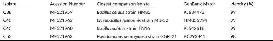 TABLE 2 The closest phylogene�c rela�ves of bacterial isolates from PT Freeport Indonesia’s tailings.