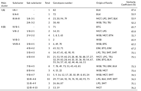TABLE 2 Cluster membership of various Toona sinensis progeny test.