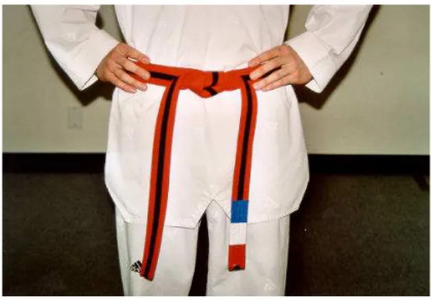 Gambar 1. Sabuk merah taekwondo  Taekwondo  yang  kita  kenal  sekarang  ,  mempunyai  sejarah yang sangat panjang seiring dengan perjalanan  sejarah  Bangsa  Korea  ,  dimana  beladiri  ini  berasal