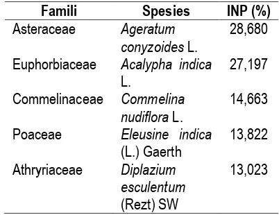 Tabel 4. Lima jenis semai dan tumbuhan bawah yang mendominasi lokasi penelitian di Hutan Pendidikan Universitas Tadulako
