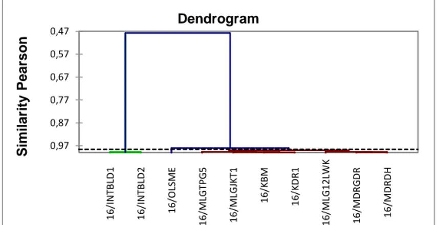 Gambar 3. Dendogram 10 aksesi ciplukan berdasarkan 11 karakter kuantitatif 