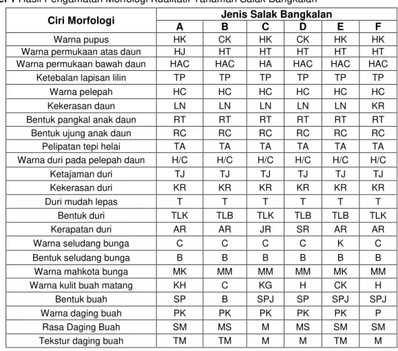 Tabel 1 Hasil Pengamatan Morfologi Kualitatif Tanaman Salak Bangkalan  Ciri Morfologi  Jenis Salak Bangkalan 