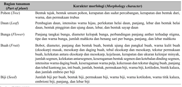 Tabel 1.  Daftar karakter morfologi tanaman pamelo (List of pummelo morphological character)