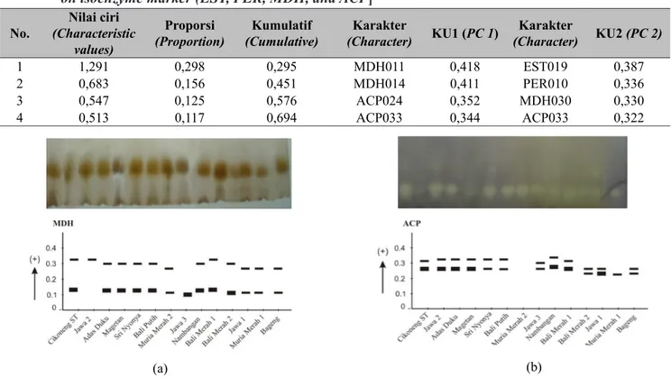 Tabel 4.  Nilai ciri dan dua nilai komponen utama (KU) pertama berdasarkan penanda  isoenzim (EST,  PER, MDH, dan ACP) [ Characteristic values and the first two principal component (PC) values based 