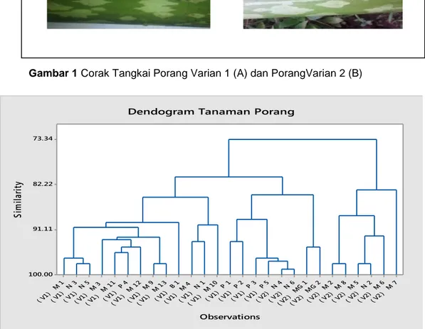 Gambar 2     Dendogram berdasarkan nilai kemiripan gabungan antara karakter 