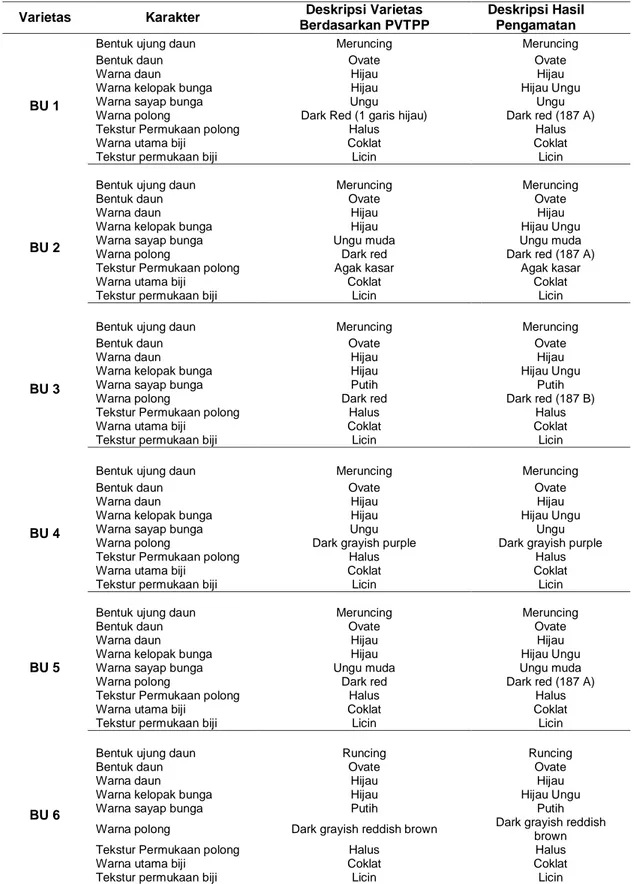 Tabel 2 Perbandingan Deskripsi Karakter Kualitatif 