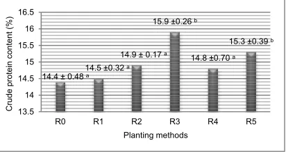 Figure 4. The average crude proteint content of dwarf elephant grass (Pennisetum purpureum cv