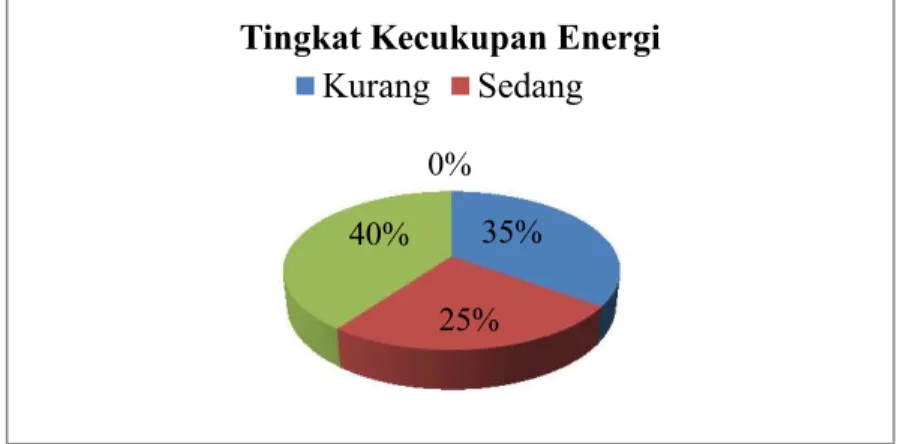 Gambar 4. Distribusi responden berdasarkan tingkat kecukupan energi 