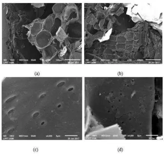 Figure 3 Effect of SBPA mass  