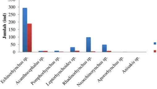 Tabel 3.   Infeksi cacing endoparasit berdasarkan kelompok ukuran ikan  Kelompok  Ukuran (cm)  Cacing Endoparasit*  1  2  3  4  5  6  7  8  29-35  v  v  v  V  v  v  -  -  36-42  v  v  v  V  v  v  v  v 