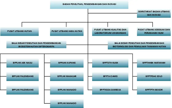 Gambar 1. Struktur Organisasi Badan Litbang dan Inovasi