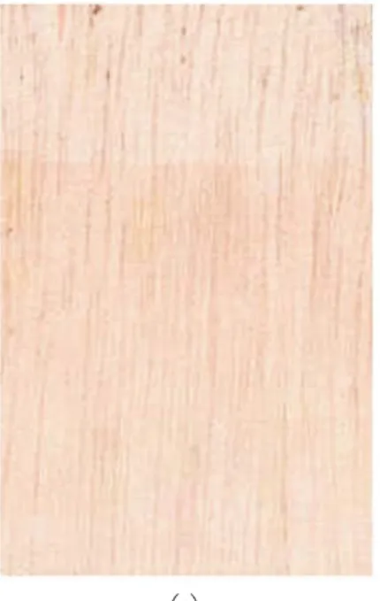 Gambar kayu dan struktur anatomi