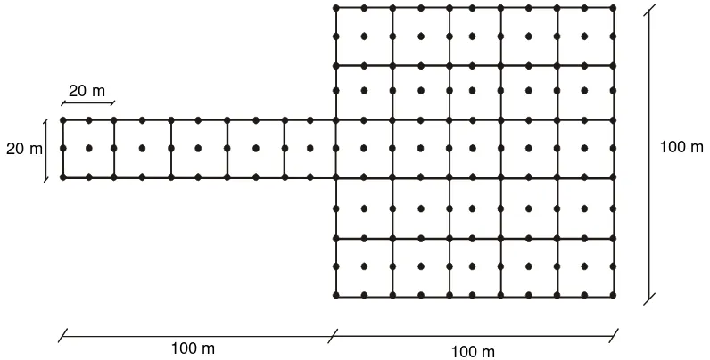 Gambar 11. Grid-point untuk kasus 2 (tidak berskala) 