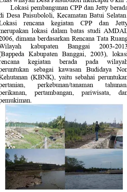 Gambar 2. Survey lapangan kondisi Vegetasi  disekitar lokasi CPP dan jetty  