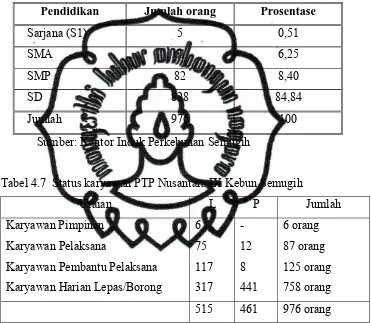 Tabel 4.7  Status karyawan PTP Nusantara IX Kebun Semugih 