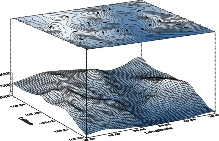 Gambar 3. Peta garis kontur dan model tinggi permukaan dijital (DEM-Digital Elevation Model) hasil pengolahan INSAR 