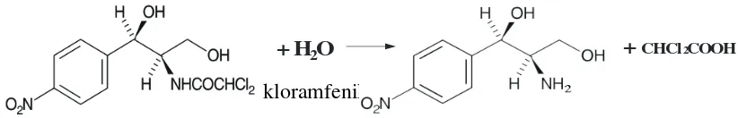 Gambar 2.2 Reaksi hidrolisis kloramfenikol 