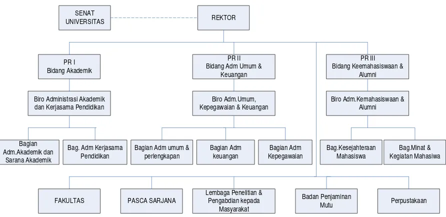 Gambar 4.1 Struktur Organisasi Unibba 