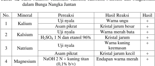 Tabel  4.2  Hasil  Analisis  Kualitatif  Kalium,  Kalsium,  Natrium  dan  Magnesium  dalam Bunga Nangka Jantan 
