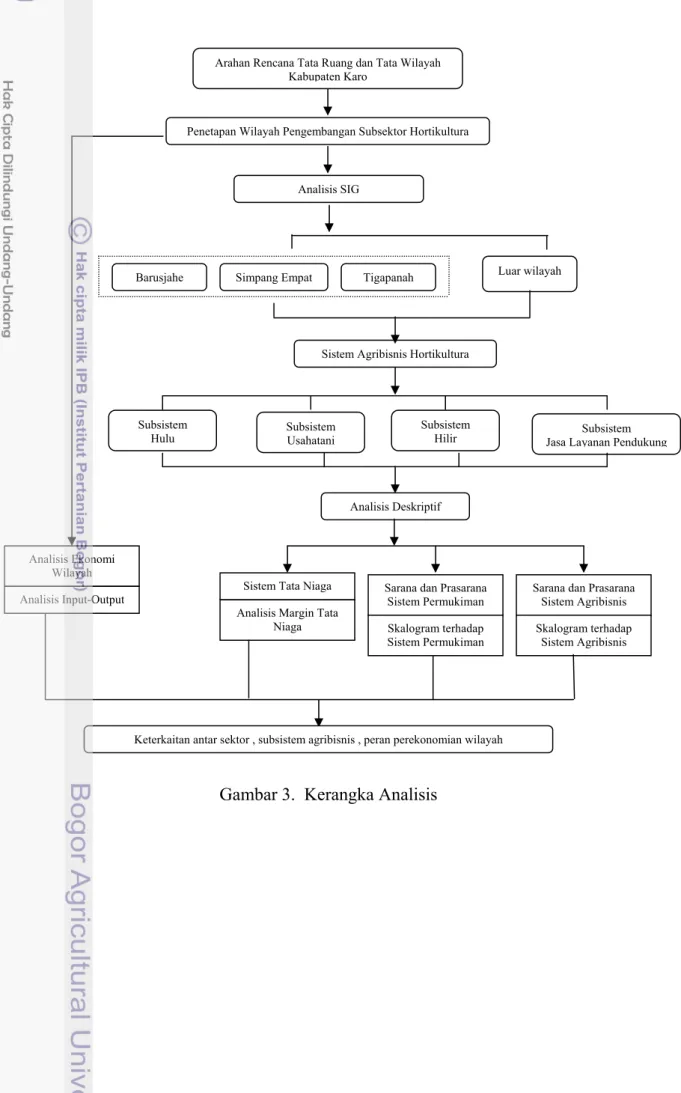 Gambar 3.  Kerangka Analisis  